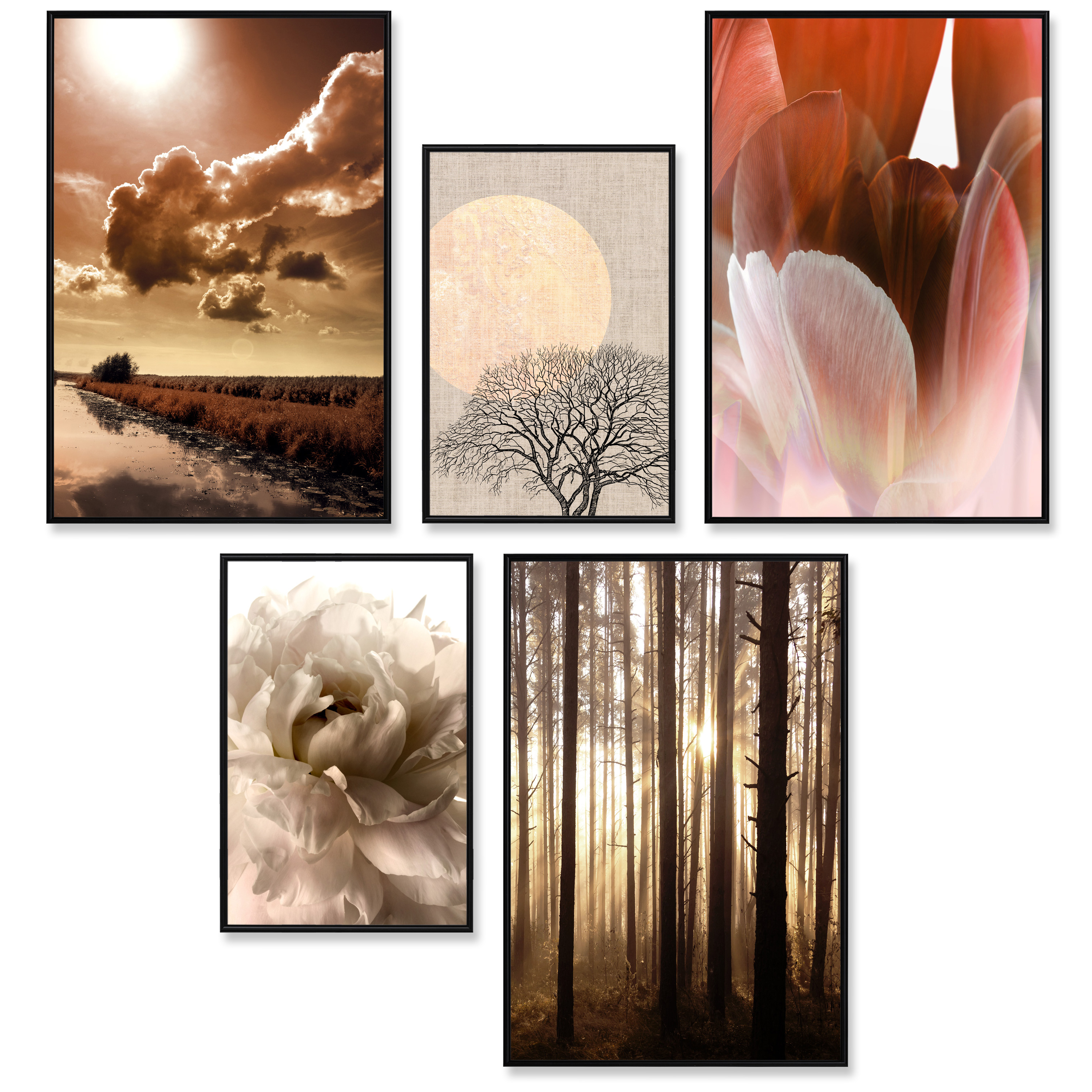 NATUR DRUCK POSTER 5er Set Deko Bild Rahmen Landschaft Blumen DESIGN